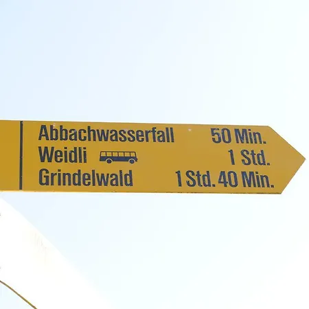 60 Daire Grindelwald